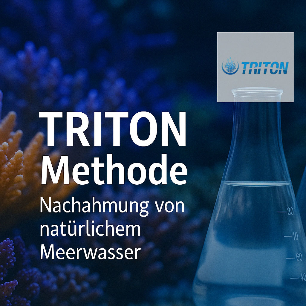 Triton-Methode Kategoriebild zur Triton Methode