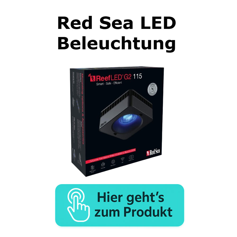Red Sea LED Beleuchtung Kategorie Red Sea LED Beleuchtung