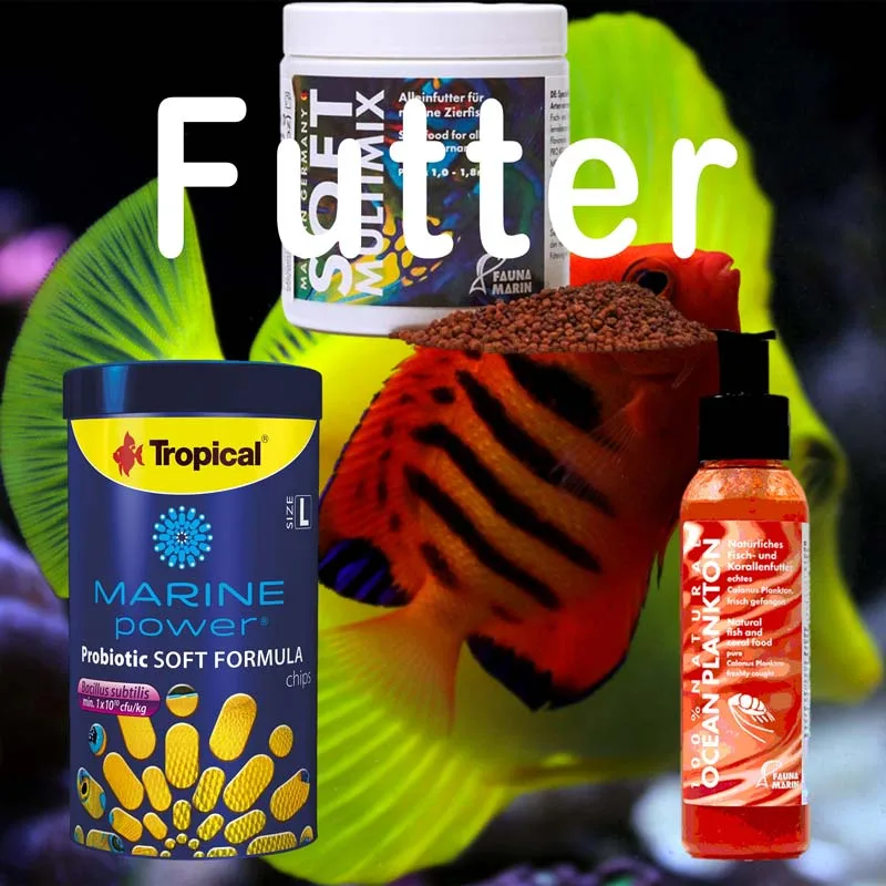 Grafik zur Futter Kategorie im Meerwasseraquaristik Shop