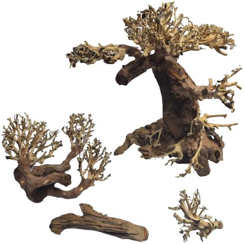 Bonsai Bäumchen L * B-Ware / Bruch*