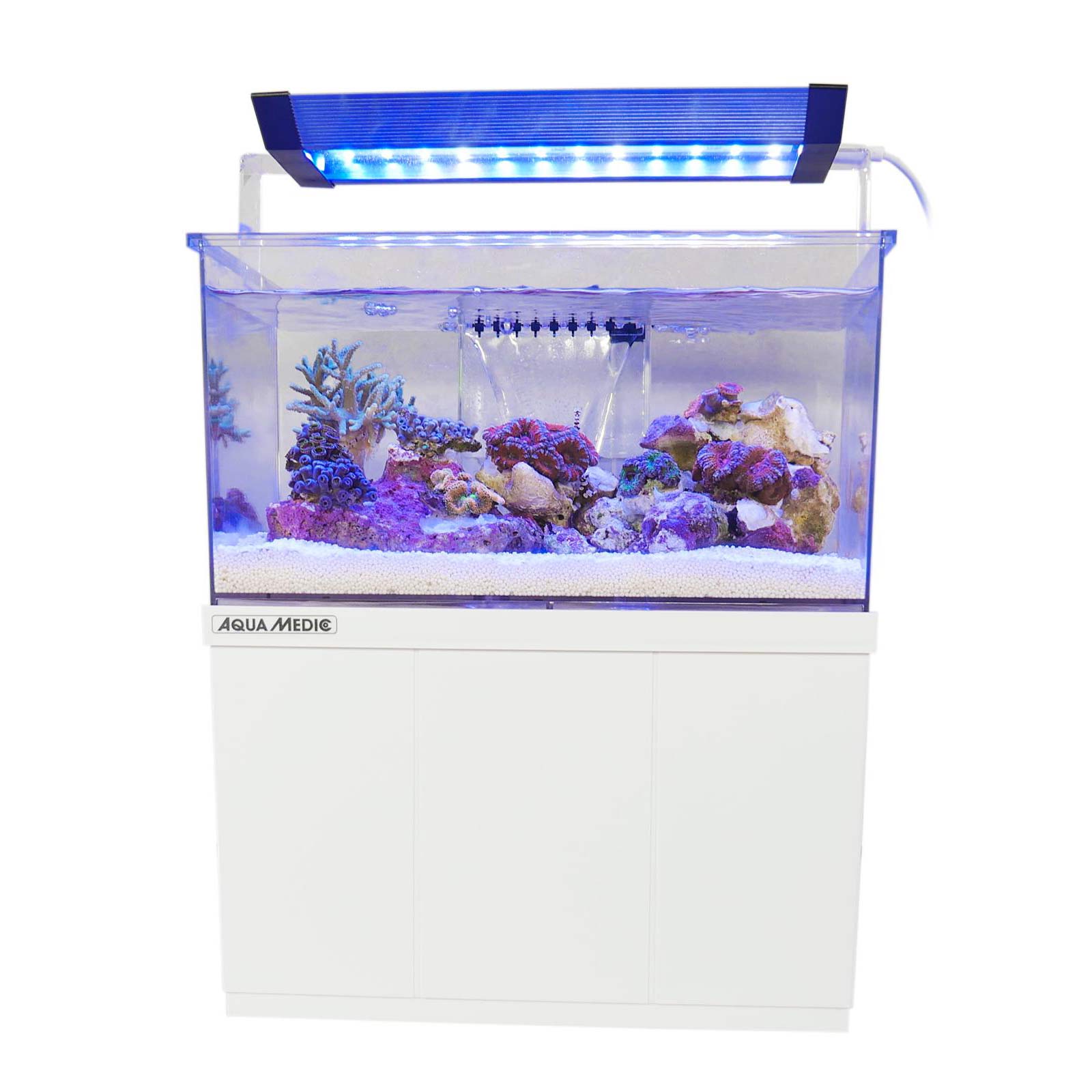 Bild von Aqua-Medic Armatus XS | Micro Süss -/ Meerwasser Aquarium 4 L