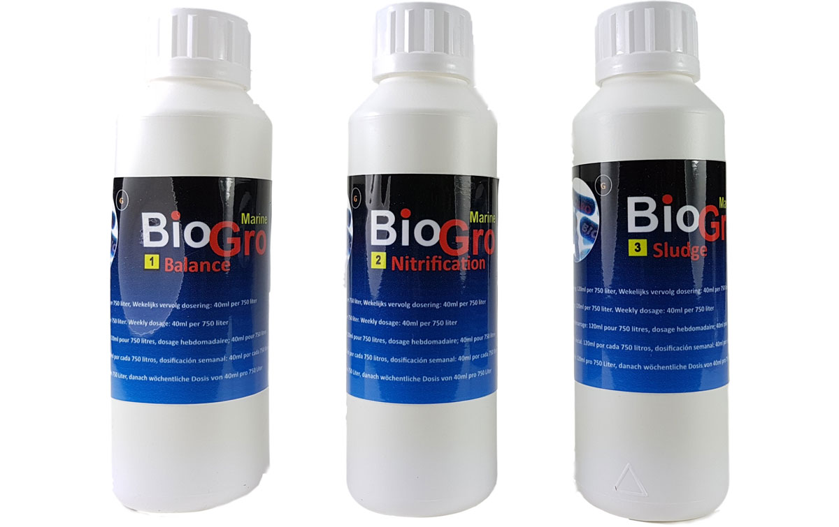 dvh-bio-gro-bakterien-meerwasser9TK7wDaB30V81
