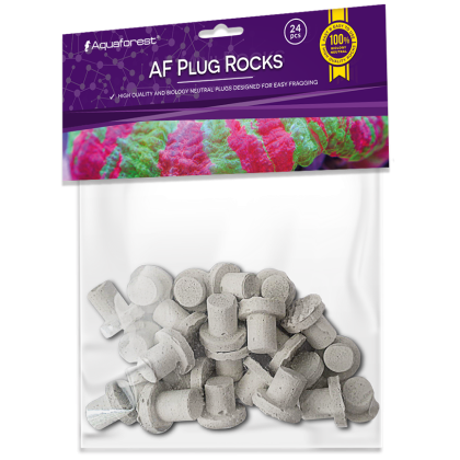 Aquaforest Ablegersteine weiß mit Fuß | ca. 2 cm 24 Stück