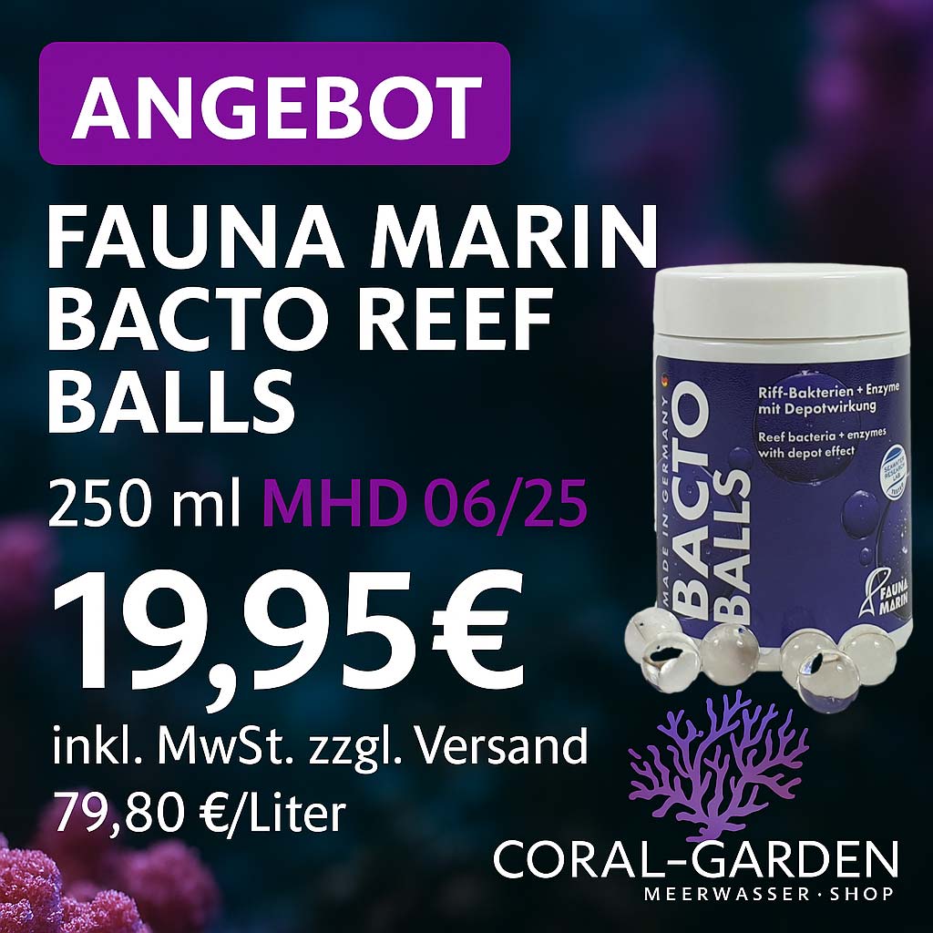 Bild von Reef Ball Pro mit begrenztem MHD