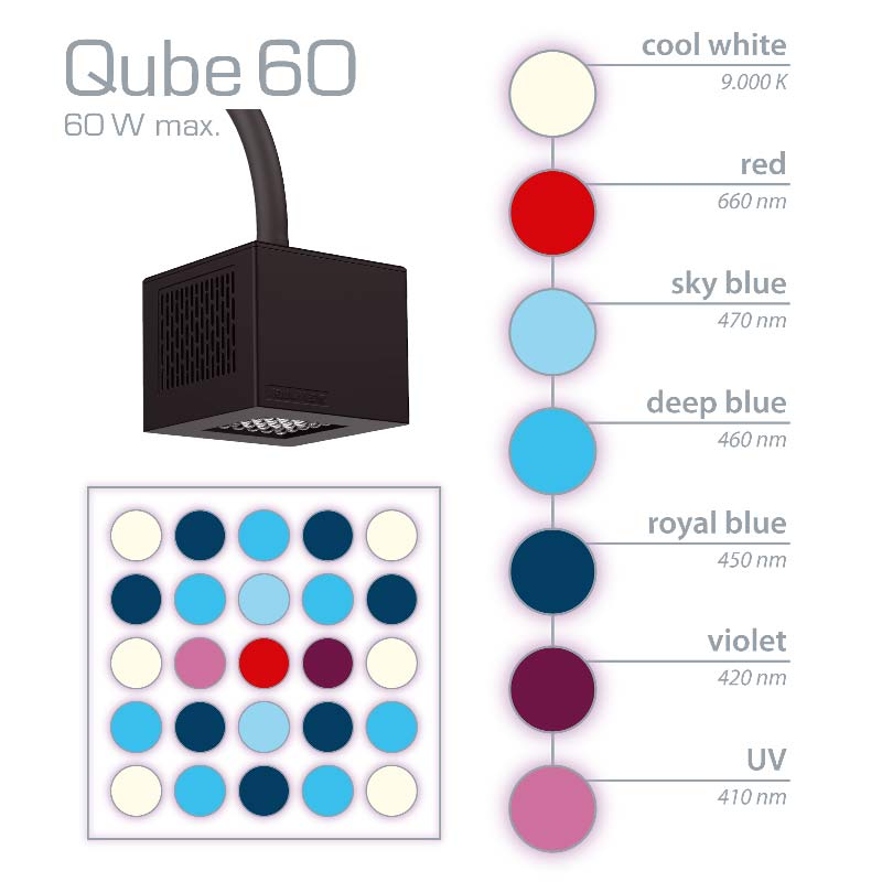 Bild von Aqua-Medic Qube 60 | High Power LED-Spot für Meerwasseraquarien | max. 60 W