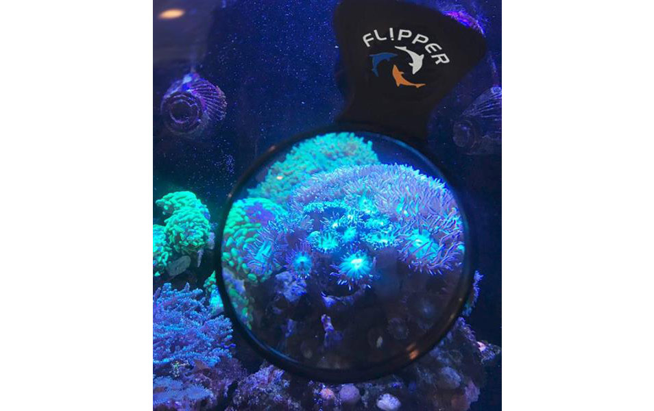 flipper-deepsea-lupe-050ovVdcRV6agoy Flipper DeepSee Lupe