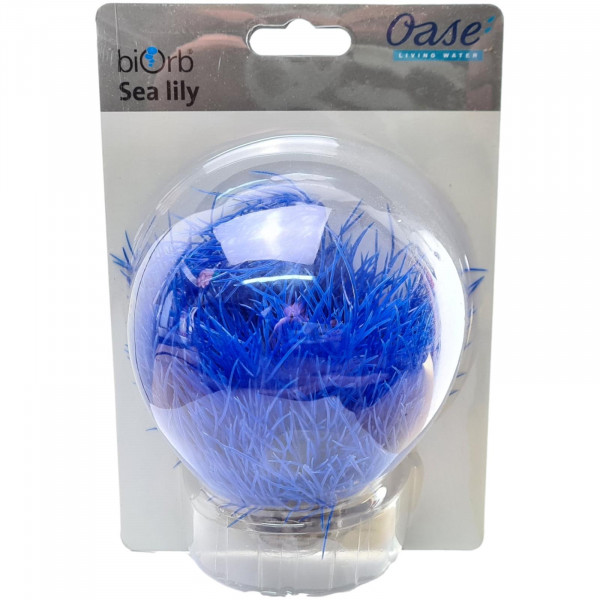 biOrb Seelilie blau
