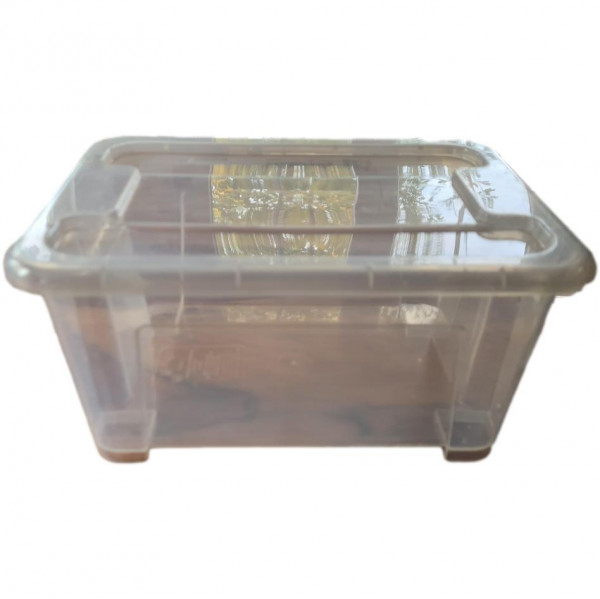 *gebraucht* Aufbewahrungsbox Box ohne Deckel, transparent 28x19x14 cm / 5 l