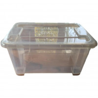 *gebraucht* Aufbewahrungsbox Box mit Deckel, transparent 28x19x14 cm / 5 l