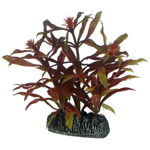 Hobby Nesaea 13 cm künstliche Aquariumpflanze