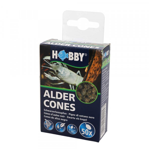 Hobby Alder Cones | 50 St. Schwarzerlenzapfen