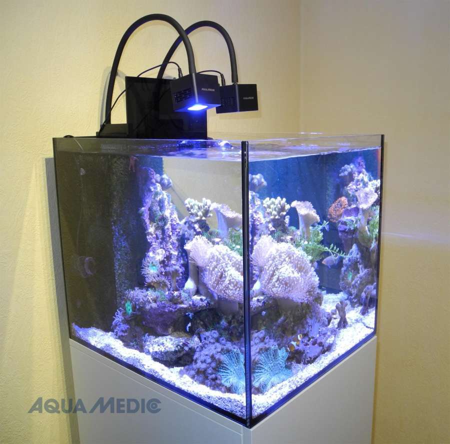 Aqua-Medic Cubicus Qube CF | Aquarien | Meerwasseraquaristik Shop