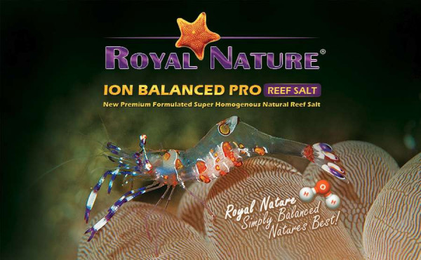 Royal Nature Meersalz Ion Balanced pro Reef Salt 4 kg