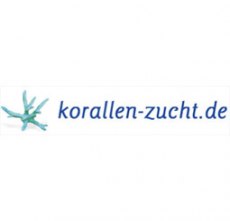 Korallen-Zucht