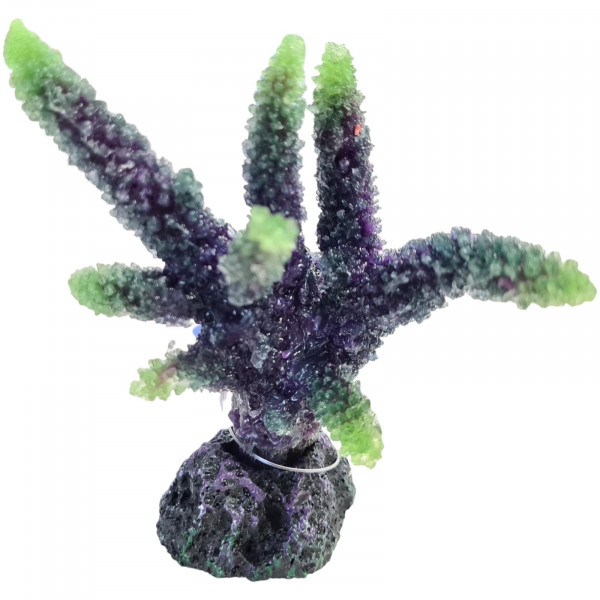 Acropora sp. Kunststoff 8x6,5x8 cm