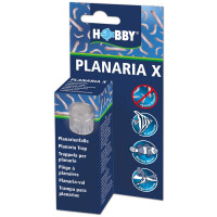 Hobby Planaria-X | Planarienfalle