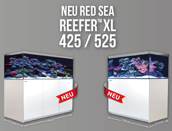 Red Sea REEFER XL Meeresaquarium