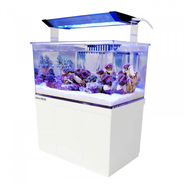 Aqua-Medic Armatus XS | Micro Süss -/ Meerwasser Aquarium 4 L