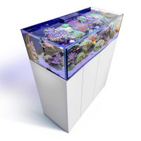 Aqua-Medic Armatus Lagoon 400 | Rahmenloses Korallenaquarium mit Unterschrankfiltersystem