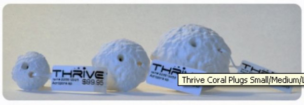 Thrive Coral Plugs Small