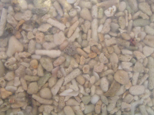 Korallenbruch 30-90 mm 20 kg